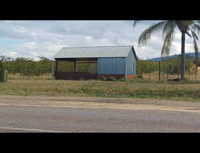 FARM FOR SALE IN LOUIS TRICHARDT